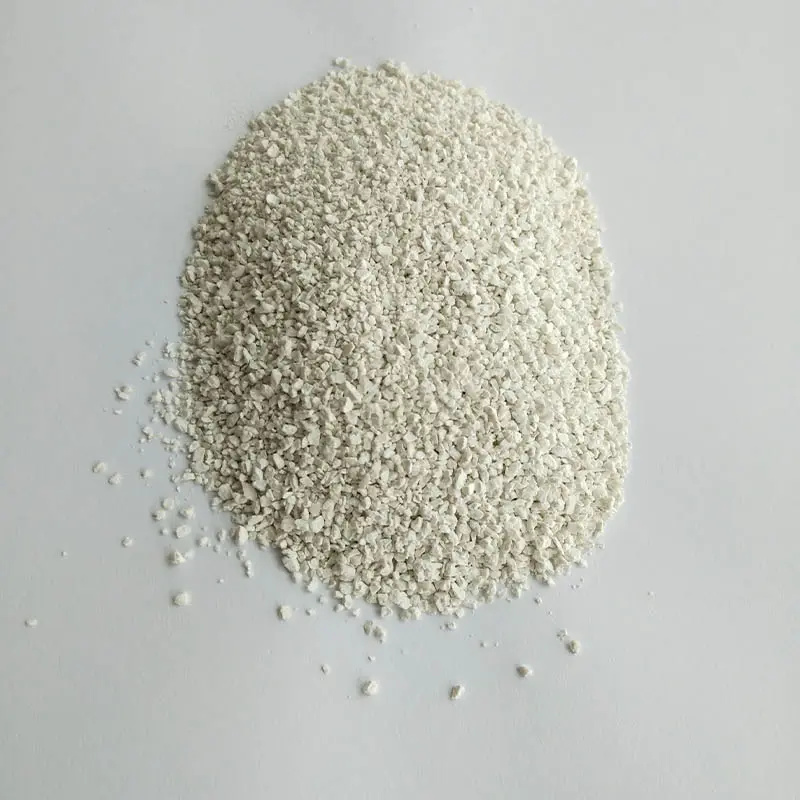 calcium hypochlorite-22