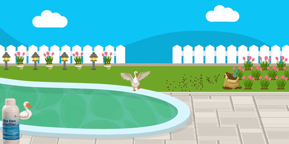 Does Pool Clarifier work?