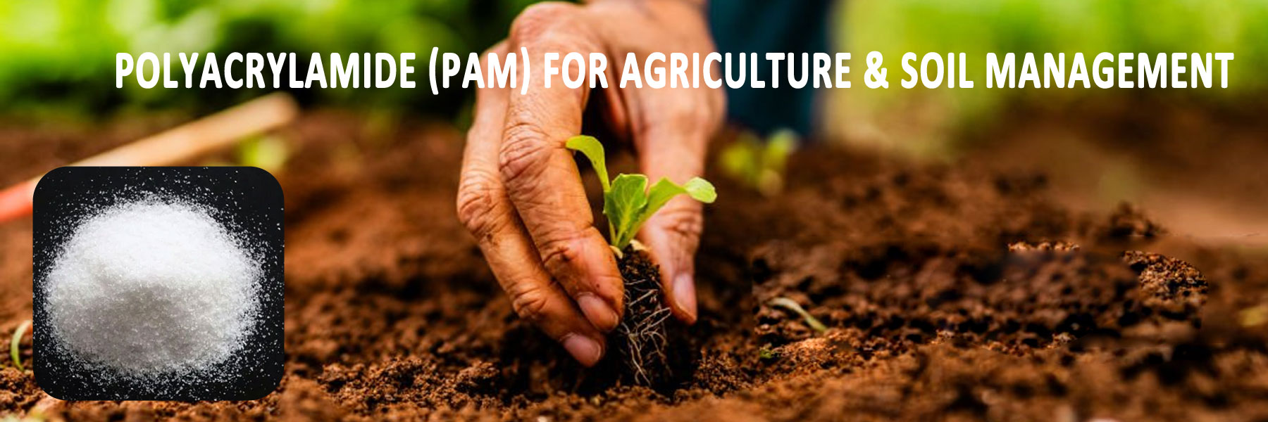 PAM-Used-in-Agriculture