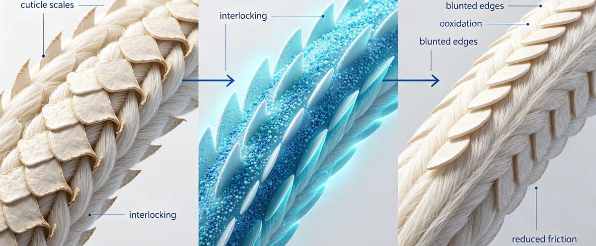 Wool Fiber Scale Treatment Mechanism