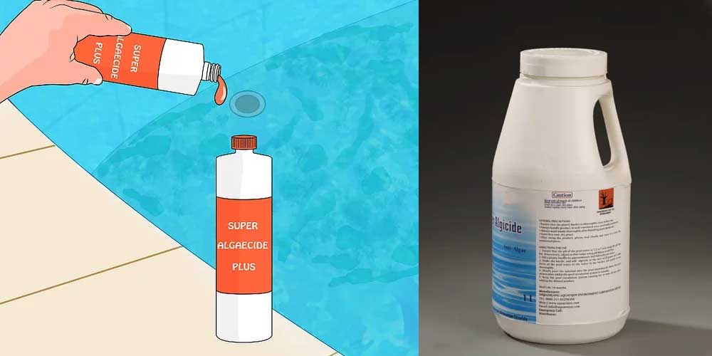 When should you put algaecide in your pool?