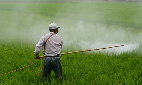 Sulfamic acid is used in agriculture as an algaecide